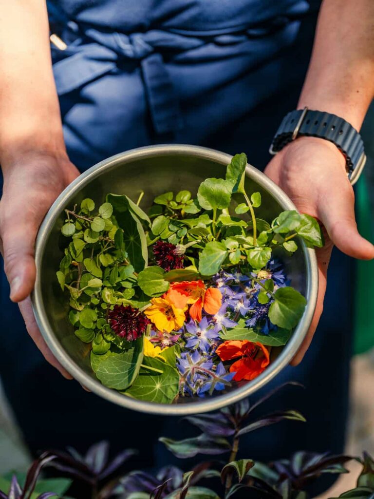 Ingredients at their peak.